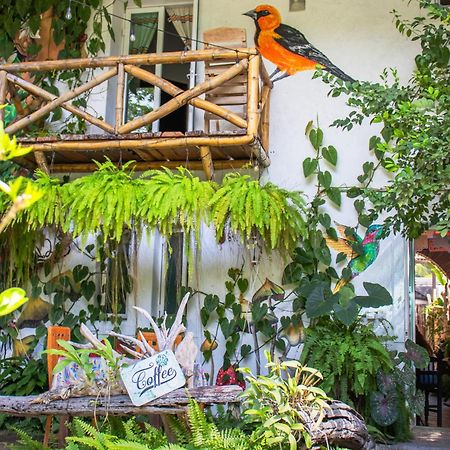 Hotel Casa Zen Galeria Y Cafe A Solo 8 Min De La Playa Санта Крус Уатулко Екстериор снимка